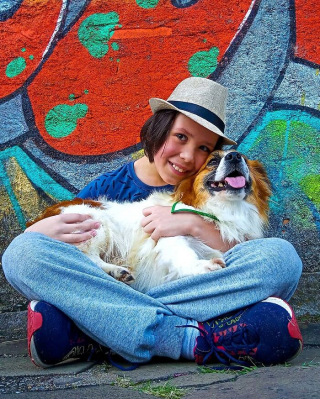 Illustration de l'article : 19 photos inspirantes d'un garçon de 12 ans qui donne le bain aux chiens errants pour les aider à trouver une famille