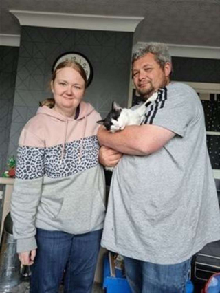 Illustration de l'article : Une chatte ressurgit 2 ans après sa disparition, grâce à un examen vétérinaire