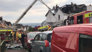 Illustration de l'article : Les retrouvailles inespérées entre une famille et leur chat, prisonnier des flammes, débordent d’émotion