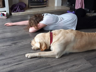 Illustration de l'article : Une jeune fille autiste se métamorphose grâce à l’amour de sa chienne
