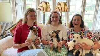 Illustration de l'article : 11 ans après la disparition de leur chien, ils reçoivent un appel inattendu