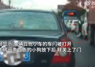 Illustration de l'article : La caméra embarquée d’une voiture enregistre le moment déchirant où un chien est abandonné sur la route par ses propriétaires