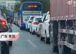 Illustration de l'article : La caméra embarquée d’une voiture enregistre le moment déchirant où un chien est abandonné sur la route par ses propriétaires