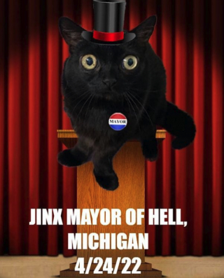 Illustration de l'article : Un chat avec des malformations congénitales se voit offrir le poste de maire d’une petite ville pendant une journée