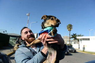 Illustration de l'article : Les gens se mobilisent pour la lib&eacute;ration d&rsquo;un chien, retenu &agrave; l&rsquo;a&eacute;roport &agrave; cause d&rsquo;un vaccin