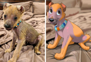 Illustration de l'article : 12 jolis portraits "disneyifiés" d'animaux en situation de handicap