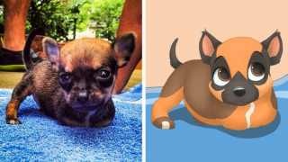 Illustration de l'article : 12 jolis portraits "disneyifiés" d'animaux en situation de handicap