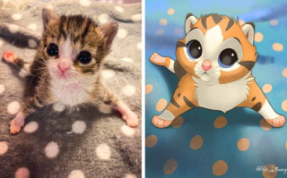 Illustration de l'article : 12 jolis portraits "disneyifiés" d'animaux en situation de handicap