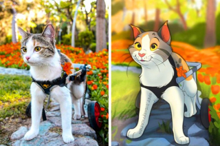 Illustration de l'article : 12 jolis portraits "disneyifiés" d'animaux en situation de handicap