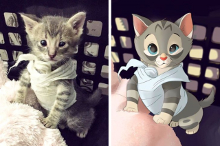 Illustration de l'article : 12 jolis portraits "disneyifiés" d'animaux en situation de handicap