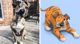 Illustration de l'article : 12 jolis portraits "disneyifiés" d'animaux en situation de handicap