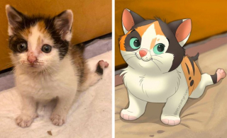 Illustration de l'article : 12 jolis portraits "disneyifiés" d'animaux en situation de handicap