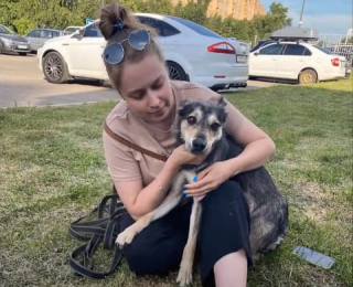 Illustration de l'article : Paralys&eacute; par la douleur et transi de froid, ce chien s&rsquo;est retrouv&eacute; livr&eacute; &agrave; lui-m&ecirc;me au coeur d&rsquo;une montagne