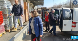 Illustration de l'article : Des centaines de chats et de chiens sauvés de la guerre en Ukraine par l’association PETA