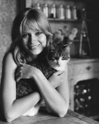 Illustration de l'article : La magnifique collection de 20 anciennes photos de chats aux côtés de célébrités