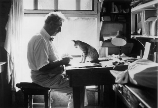 Illustration de l'article : La magnifique collection de 20 anciennes photos de chats aux côtés de célébrités