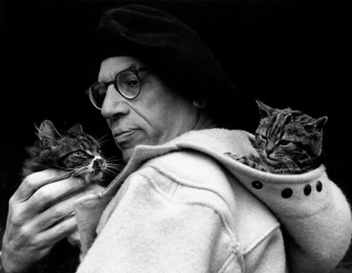 Illustration de l'article : La magnifique collection de 20 anciennes photos de chats aux côtés de célébrités