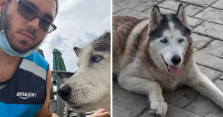 Illustration de l'article : Un chauffeur-livreur Amazon porte secours à un chat jeté par la fenêtre d'une voiture