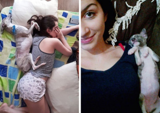 Illustration de l'article : 20 photos de chiens et chats qui n'ont aucune notion sur la définition "d'espace personnel"