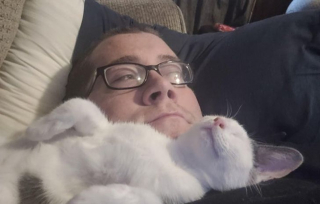 Illustration de l'article : 20 photos de chiens et chats qui n'ont aucune notion sur la définition "d'espace personnel"