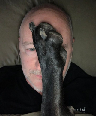 Illustration de l'article : 20 photos de chiens et chats qui n'ont aucune notion sur la définition "d'espace personnel"