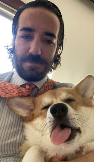 Illustration de l'article : 20 photos hilarantes de Corgis qui ne sont clairement pas de bonne humeur