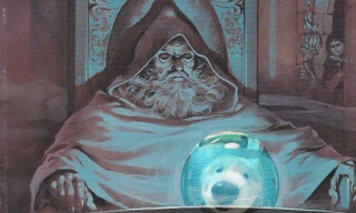Illustration de l'article : 14 chiens et chats vivant une expérience hors du commun avec... une boule !