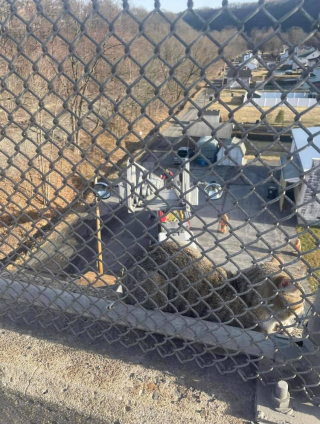 Illustration de l'article : Un chat coincé en haut d'un pont nécessite l'intervention des soldats du feu