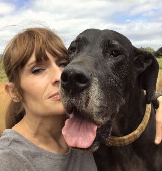 Illustration de l'article : Le SOS d'une infirmière vétérinaire contrainte de trouver un nouveau logement avec ses 20 chiens en 5 mois