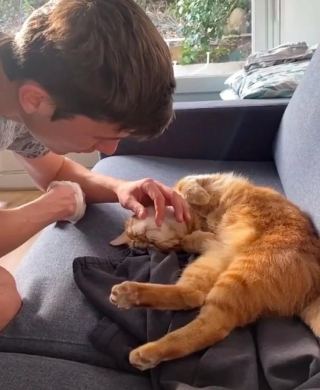 Illustration de l'article : Un couple emménage dans un appartement et y découvre un squatteur bien décidé à rester ! (vidéo)