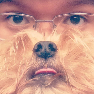 Illustration de l'article : 9 selfies insolites de chiens et de leurs maîtres ne faisant qu'un