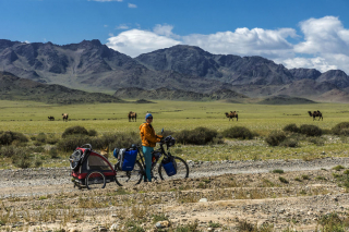 Illustration de l'article : 18 photos d'un Chien Loup Tchécoslovaque passionné de voyages et de découvertes