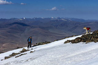 Illustration de l'article : 18 photos d'un Chien Loup Tchécoslovaque passionné de voyages et de découvertes