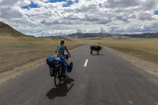 Illustration de l'article : 18 photos d'un Chien Loup Tchécoslovaque passionné de voyages et de découvertes