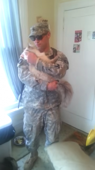 Illustration de l'article : Les retrouvailles pleines d'émotion entre un chat et son maître soldat revenant d'un long déploiement (vidéo)