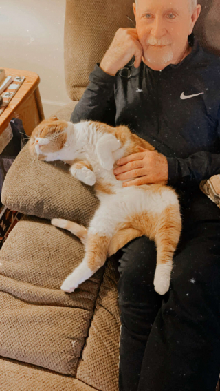 Illustration de l'article : Un chat prend soin de son grand-père qui se bat contre le cancer