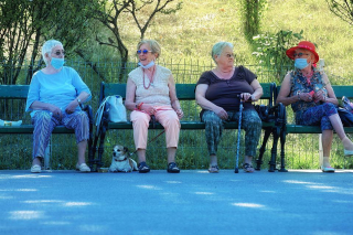 Illustration de l'article : Une grand-mère, jugée trop vieille, est dévastée lorsqu’on lui refuse l’adoption d’un chien