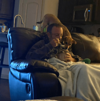 Illustration de l'article : 20 regards légendaires de chiens gourmands qui vous implorent de partager un morceau