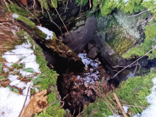 Illustration de l'article : Un Jack Russell Terrier vient en aide à un Golden Retriever pris au piège depuis 32 jours