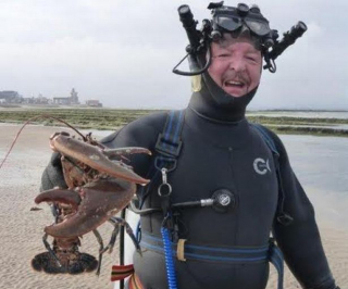 Illustration de l'article : Un expert en biologie marine tente de lever le voile sur une mystérieuse maladie de chiens