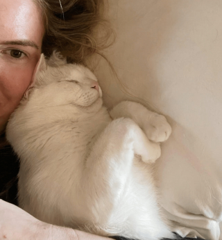 Article infographic: 13 lovable animal pictures that will make you discover the definition of the word 