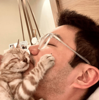 Article infographic: 13 lovable animal pictures that will make you discover the definition of the word 