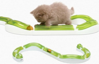 Illustration de l'article : Accueillir son chaton et le mettre dans les meilleures dispositions avec cette sélection de produits Ooba Ooba