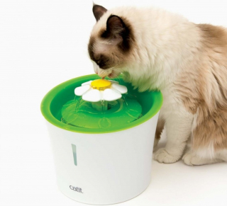 Illustration de l'article : Accueillir son chaton et le mettre dans les meilleures dispositions avec cette sélection de produits Ooba Ooba