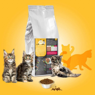 Illustration de l'article : Accueillir son chaton et le mettre dans les meilleures dispositions avec cette sélection de produits Ooba Ooba