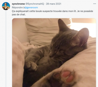 Illustration de l'article : Un homme consulte par hasard un site de vente immobilière et découvre son chat sur les photos