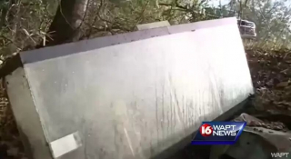 Illustration de l'article : Un homme fait l’horrible découverte de 2 chiots faits prisonniers dans les bois (vidéo)