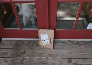 Illustration de l'article : La photo hilarante d’un chien qui fait des grimaces au livreur de colis