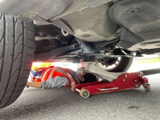 Illustration de l'article : Un chaton dont la mère venait de perdre la vie a été retrouvé juste à temps, caché dans le capot d’une voiture