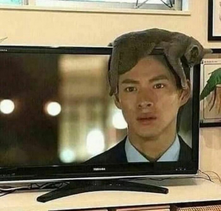 Illustration de l'article : 19 animaux qui ont décidé de vivre sans s'inquiéter des règles